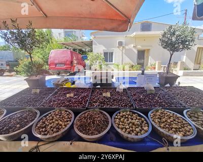 Chania, Grèce. 12 septembre 2024. Différents types d'olives sont exposés à un étal dans un marché du quartier de Nea Chora. Crédit : Alexandra Schuler/dpa/Alamy Live News Banque D'Images