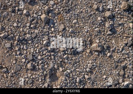 Terrain texturé : gros plan de Gravel Banque D'Images
