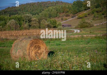 Paysage d'automne rustique avec champ de maïs et balles de foin rondes avec des collines en arrière-plan Banque D'Images