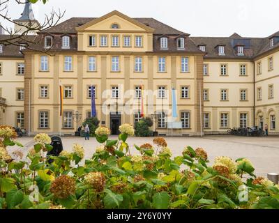 Wuerzburg, Allemagne - 19 octobre 2023 : façade dorée de l'hôtel de ville historique avec place Banque D'Images