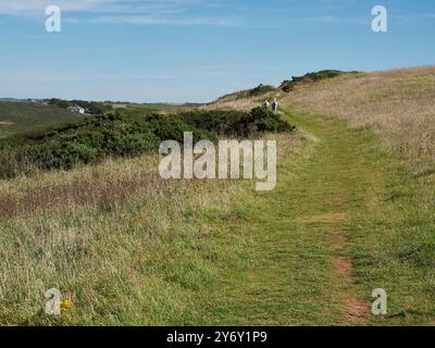 Sentier herbeux sur le sentier de la côte nord de Cornwall, avec deux marcheurs au loin.. Banque D'Images