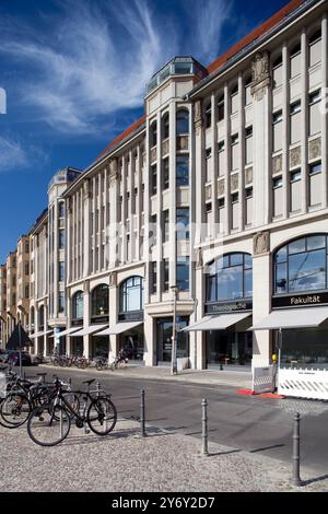 Le Theologische Fakultät de Berlin présente une architecture saisissante, mêlant design historique et moderne le long de la Burgstrasse. Banque D'Images