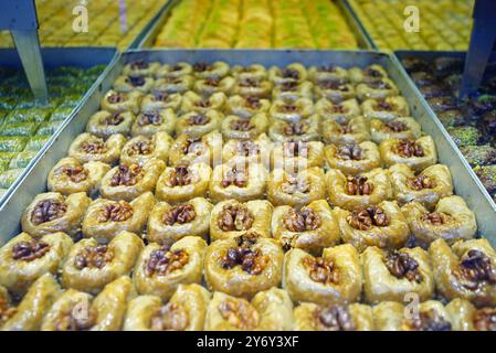 Beaucoup de morceaux de baklava fraîchement noyer couchés sur une plaque de cuisson. Baklava aux noix (Cevizli Bülbül Yuvası) exposé dans la vitrine d'un magasin d'Istanbul Banque D'Images