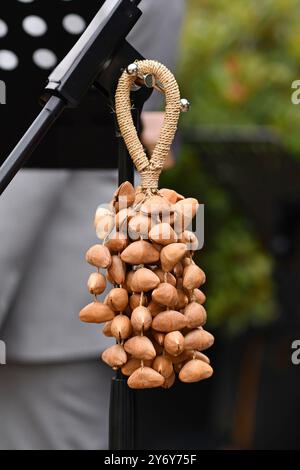 Kenari Shaker, un instrument de musique à percussion fabriqué à partir de noix de graines Kenari attachées à une dragonne Banque D'Images