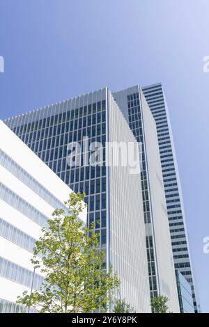 Vue sur les tours Roche, construites entre 2012 et 2022, abritant les bureaux du groupe pharmaceutique Roche sur les rives du Rhin. Banque D'Images