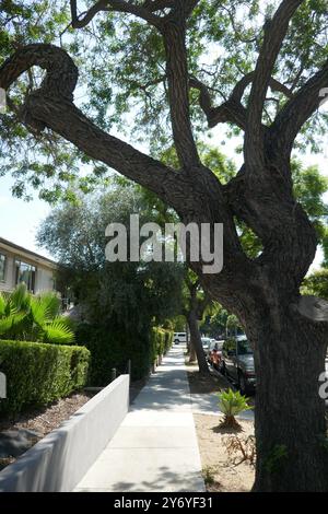 West Hollywood, Californie, USA 18 septembre 2024 Havenhurst Drive le 18 septembre 2024 à West Hollywood, Californie, USA. Photo de Barry King/Alamy Stock photo Banque D'Images