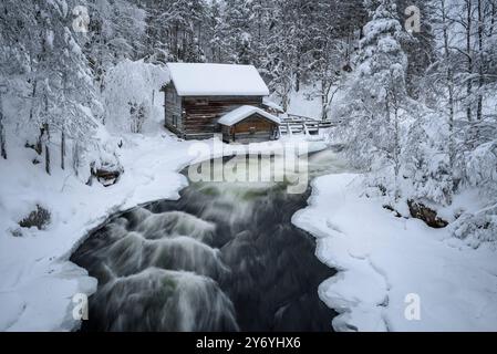 Ancien moulin de Myllykoski, couvert de neige en hiver, à côté des rapides de la rivière Kitkajoki dans le parc national d'Oulanka (Juuma Kuusamo Laponie Finlande) Banque D'Images