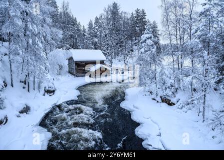 Ancien moulin de Myllykoski, couvert de neige en hiver, à côté des rapides de la rivière Kitkajoki dans le parc national d'Oulanka (Juuma Kuusamo Laponie Finlande) Banque D'Images