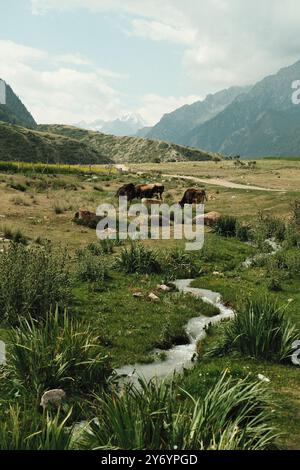 Superbe paysage montagneux avec une rivière sereine et des vaches Banque D'Images