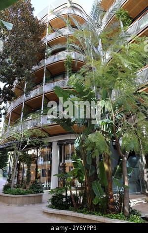 Archiecture moderne. Arbres en bois Monaco 5 Banque D'Images