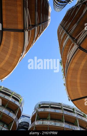 Archiecture moderne. Arbres en bois Monaco 3 Banque D'Images