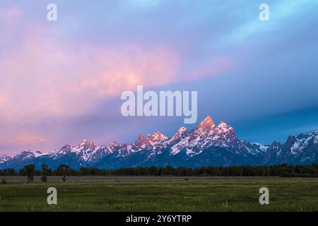 Les couleurs vives du lever du soleil illuminent la chaîne de montagnes Teton. Banque D'Images