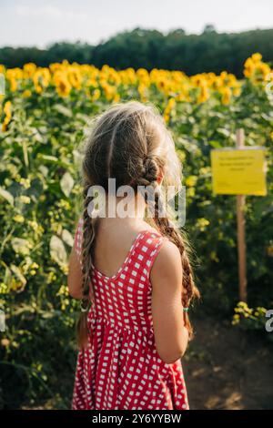 Jeune fille avec des cheveux tressés debout dans un champ de tournesol Banque D'Images