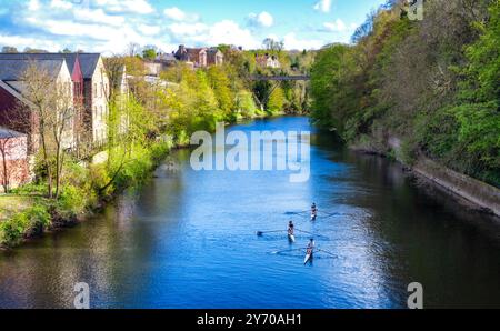 Vue vers le sud depuis Elvet Bridge, montrant des rameurs sur la rivière Wear et le lointain Kingsgate Foortbridge, Durham, Angleterre, Royaume-Uni. Banque D'Images