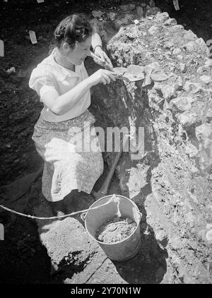 LES JEUNES DÉTERRENT L'HISTOIRE ANCIENNE À VERULAMIUM Un groupe d'étudiants universitaires qui suivent un cours de formation de cinq semaines en archéologie sur le terrain sont des reliques de l'occupation romaine sur le site de Verulamium - la deuxième plus grande ville romaine en Angleterre près de St Albans, Hertfordshire. Les étudiants, qui étaient au nombre d'environ 50 et travaillent sous la direction du professeur Mortimer Wheeler de l'Institut d'archéologie de l'Université de Londres, fouillent les vestiges des grands bâtiments autour de l'ancienne place du marché de la ville. Leur découverte jusqu'à présent comprend un magasin de maïs brûlé, avec des grains encore bien pré Banque D'Images