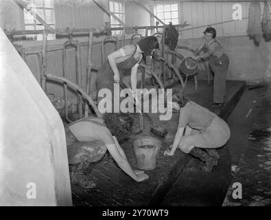 École de ferme , Sissinghurst , Walthamstow Hall School Girls -lavage de cowsheds . 1er janvier 1946 Banque D'Images