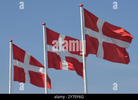 Die daenische Fahne weht in Stege auf der Insel Mon. Der Dannebrog zaehlt zu den aeltesten Flaggen der Welt und existiert bereits seit dem 13. Jahrhundert. *** Le drapeau danois flotte à Stege sur l'île de mon le Dannebrog est l'un des plus anciens drapeaux du monde et existe depuis le 13ème siècle Banque D'Images