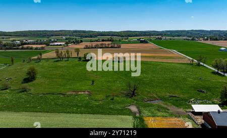 La vue panoramique montre des champs verdoyants parsemés de parcelles de sol brun et d'arbres, avec le bétail pâturant paisiblement sous un ciel bleu clair pendant la journée dans un paysage rural. Banque D'Images