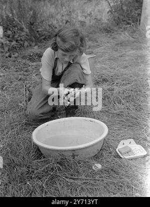 École de ferme , Sissinghurst , Walthamstow Hall School Girl . 1er janvier 1946 Banque D'Images