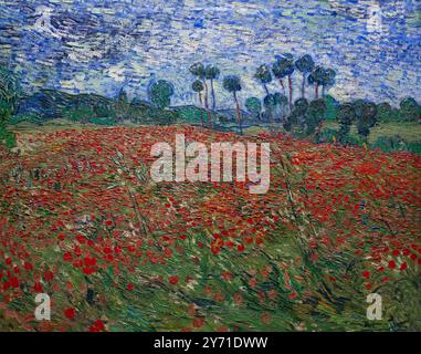 Champ de coquelicots, champs de Coquelicots, Vincent van Gogh, 1890, Banque D'Images