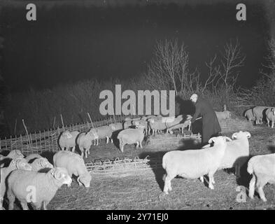 Agneau la nuit dans le Dorset, Englandc. 1940 Banque D'Images