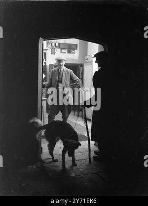 Agneau la nuit dans le Dorset, Englandc. 1940 Banque D'Images