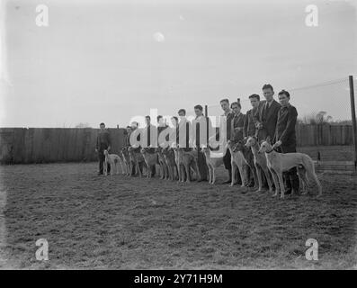 Lévriers et personnel - Crayford . 1946 Banque D'Images