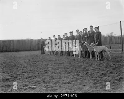 Lévriers et personnel - Crayford . 1946 Banque D'Images