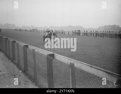 ' FIGHTING IT OUT ' de façon magistrale ces deux chevaux courant dans le handicap de Salt Hill à Windsor , se battent à l'arrivée par temps orageux . LADY DOXY ( No . 33 ) gauche avec le jockey Greathurst vers le haut , gagné de M. C H Chandler ' s GREEN VIXEN monté par le jockey sheppard vu de l'intérieur . Mai 29 1948 Banque D'Images