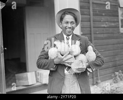 Rations dans l'équipe olympique de Raw Ceylan à Richmond. Occupés à s'installer au camp des compétiteurs des Jeux Olympiques, au Royal Park, Richmond, Surrey, sont les membres de l'équipe olympique de Ceylan nouvellement arrivée, qui ont apporté avec eux une quantité suffisante de noix de coco comme «rations». Images : Aimod à Olympia souriant, G.D. Pieris, le saut olympique de Ceylan, étape et saut, tient une armure de 'son fruit favori', alors qu'il s'installe à Richmond, aujourd'hui (lundi). 14 juin 1948 Banque D'Images