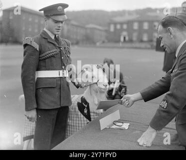 LEWIS LA CHÈVRE SE FAIT FINALEMENT DÉSHABILLER. - - - - À la station R.A.F. , Halton Camp, Buckinghamshire . - - '' Flight Sergeant LEWIS 1''-la chèvre la plus célèbre de la R.A.F. a été démobilisée pour la deuxième fois. La première tentative de démob Lewis, il y a quelques mois, a échoué après avoir reçu son ''costume civie'' et ses papiers de démob, il a procédé à faire un court travail des documents et les a mâchés en morceaux - la raison étant qu'il ne voulait pas quitter le camp. Après son ''évanouissement '' . - - Lewis prendra résidence au dispensaire du peuple pour les animaux malades-une retraite honorable le R. Banque D'Images