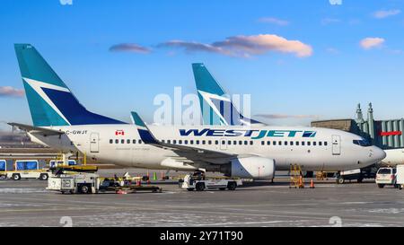 Toronto, Canada - 17 septembre 2024 : avions commerciaux WestJet à l'aéroport international Pearson. Banque D'Images