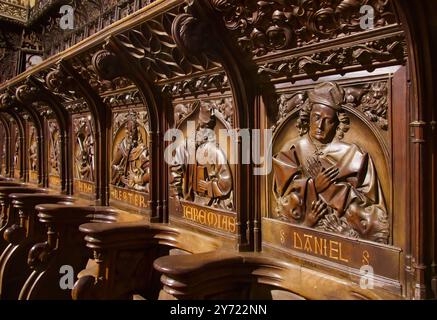 Détail gros plan des stands médiévaux de chœur en bois sculpté dans la cathédrale Santa Maria Leon Castille et Léon Espagne Banque D'Images