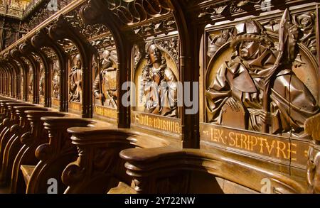 Détail gros plan des stands médiévaux de chœur en bois sculpté dans la cathédrale Santa Maria Leon Castille et Léon Espagne Banque D'Images