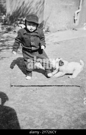 Jusqu'à dimanche dernier, le petit Hugh Jones de Clifton, Bristol, était un exemple typique d'un garçon de deux ans heureux et poêlé. Avec son chiot terrier à poil grillé, Jimmy, il était un spectacle familier dans le quartier. Mais dimanche, une porte a été laissée ouverte, Jimmy a entrepris un voyage d'exploration, et le petit Hugh a eu son premier goût de tristesse. La perte de son chien l'a tellement affligé qu'il a refusé toutes les offres de nourriture, et le médecin lui a ordonné de se coucher. Ainsi, les amis et les voisins seront heureux de toute aide pour chercher Jimmy afin qu'une grande réunion puisse être organisée. Le chiot est blanc avec des oreilles noires et o Banque D'Images