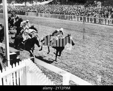 Grande course de la journée, la Stewards Cup, pour le premier jour de la réunion à Goodwood, a été remportée par Closeburn (G. Richards) qui était un cou devant le commissaire (W. Rickaby) avec Fairey Fulmar (T. Gosling) arrivant à la troisième place à une longueur. La photo montre : Closeburn (n ° 7) gagnant la Stewards Cup à Goodwood aujourd'hui de, Commissar (n ° 8) et Fairey Fulmar. 29 juillet 1947 Banque D'Images