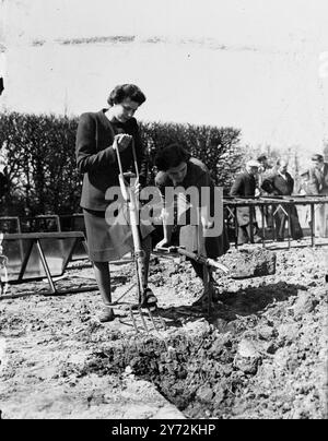 De nombreux dispositifs qui rendront le travail plus facile et plus rapide pour l'agriculteur, le petit exploitant et l'homme avec le jardin arrière ont été démontrés par la Royal Horticultural Society à Wisley, Surrey aujourd'hui. Beaucoup d'appareils sont actuellement «pour l'exportation seulement», mais il est à espérer qu'ils seront bientôt disponibles pour permettre au jardinier et agriculteur de jouer un rôle plus important dans la bataille de la nation la nourriture. L'image montre : L'EASI-Digger un dispositif pour la fixation à l'arpentage ou à la fourche pour lutter contre le danger de la cargaison lombaire et des maux apparentés. 16 avril 1947 Banque D'Images