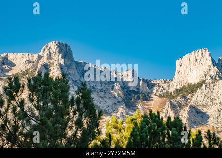 hautes montagnes rocheuses avec des pentes boisées et des sommets Banque D'Images