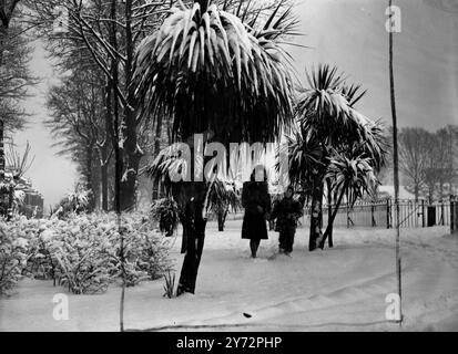 Paysage de neige. Les plantes tropicales parmi les conditions arctiques fournissent cette image inhabituelle sur Plymouth Hoe après que le port de Devonshire avait reçu une neige pire pendant 60 ans. 1er février 1947 Banque D'Images