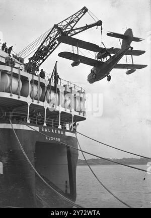 Le premier navire-usine de baleines à transporter des avions à des fins de repérage à partir de Southampton, il est le 15 000 t 'Baleana' et transporte trois hydravions convertis en morse, sous la supervision du vol de l'homme de l'air arctique John Grierson. La photo montre l'un des hydravions morses hissés à bord du baleinier à Southampton en préparation d'un sauvetage dans les eaux antarctiques. 14 octobre 1946 Banque D'Images