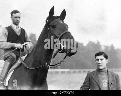 Neuf des quinze participants aux King George VI Stakes, qui seront courus pour la première fois à Ascot, sont des chevaux entraînés en France. L'événement, qui a été décrit comme «la course du siècle» sera contesté par la crème du gazon britannique et français, y compris: 'Airborne' - vainqueur du Derby et St Leger, 'souverain' - vainqueur du St Leger et du Grand Prix de Paris, 'Bright News' - vainqueur du Derby irlandais et de la plaque de championnat, 'bouton Rose' - vainqueur du Grand Prix de Belgique, 'look Ahead' - vainqueur du vase d'or Ascot et du St Leger et de la même écurie. Spectacles photos : bouton Rose. Banque D'Images