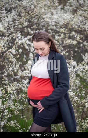 Schwangere Junge Frau im Park *** jeune femme enceinte dans le parc Banque D'Images