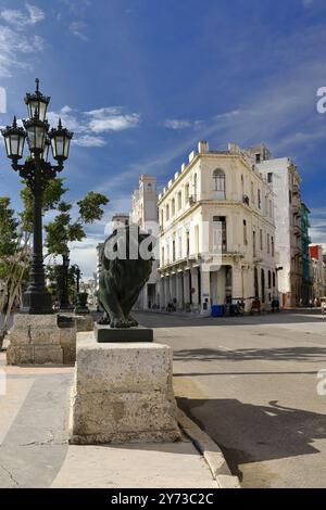 756 Lion de bronze à la pointe nord-ouest de la promenade Paseo del Prado, l'un des huit ajoutés en 1928 comme pour s'occuper de la passerelle. La Havane-Cuba. Banque D'Images