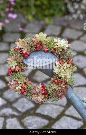 couronne de fleurs d'hortensia paniculata, fleurs de lierre et baies de cotoneaster acuminatus Banque D'Images