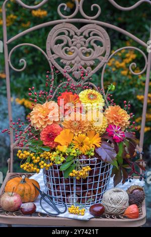 arrangement floral avec dahlias jaunes et oranges, zinnias, soucis, baies de firethorn, crampon de virginie et hanches de rose dans un panier dans le jardin Banque D'Images