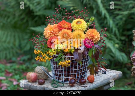 arrangement floral avec dahlias jaunes et oranges, zinnias, soucis, baies de firethorn, crampon de virginie et hanches de rose dans un panier dans le jardin Banque D'Images