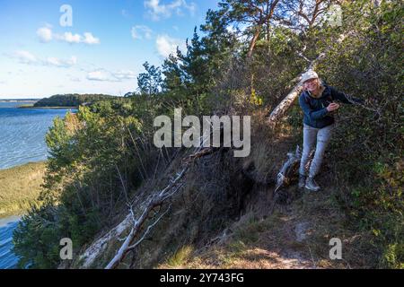 Un randonneur gravit une section escarpée et érodée du sentier côtier au-dessus de la Krumminer Wiek sur la péninsule de Gnitz, Usedom. Au Peenestrom, Mecklembourg-Poméranie-Occidentale, Allemagne. Banque D'Images