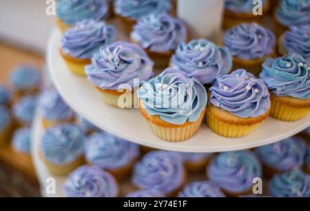 Photography of purple frosted cupcakes with little edible white pearls on a cupcake tier display stand Banque D'Images