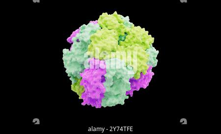 Illustration de la structure protéique de la ribulose-1,5-bisphosphate carboxylase/oxygénase (Rubisco). Rubisco est la protéine la plus abondante sur Terre impliquée dans le processus de photosynthèse chez les plantes, les algues et certaines bactéries. Banque D'Images