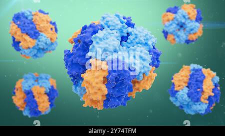 Illustration de la structure enzymatique de la ribulose-1,5-bisphosphate carboxylase/oxygénase (Rubisco). Rubisco est la protéine la plus abondante sur Terre impliquée dans le processus de photosynthèse chez les plantes, les algues et certaines bactéries. Banque D'Images
